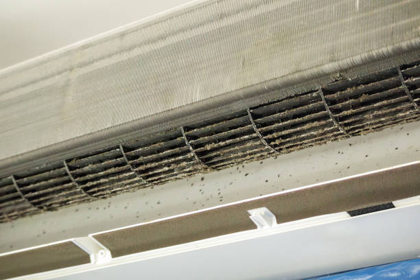 Best HVAC Duct Inspection Services  in Port Richey, FL